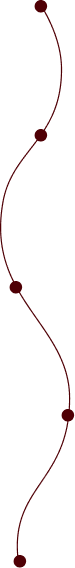 Line image